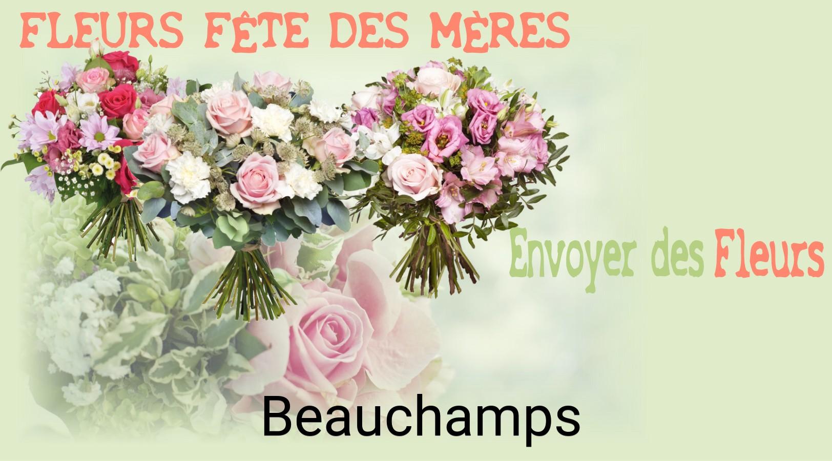 Bouquet de Fête des Mères livré à Beauchamps